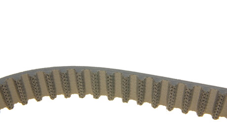 Фото 3 - Ремень ГРМ Continental CT1229