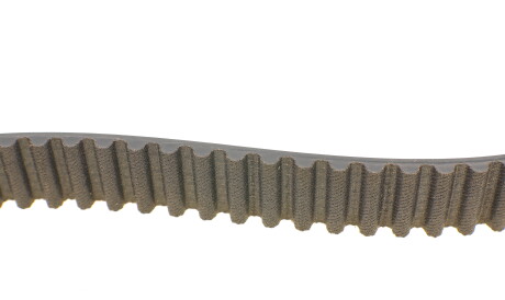 Фото 2 - Ремень ГРМ Continental CT769