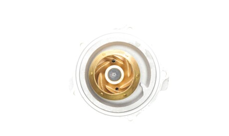 Фото 2 - Водяний насос Continental WPS3010