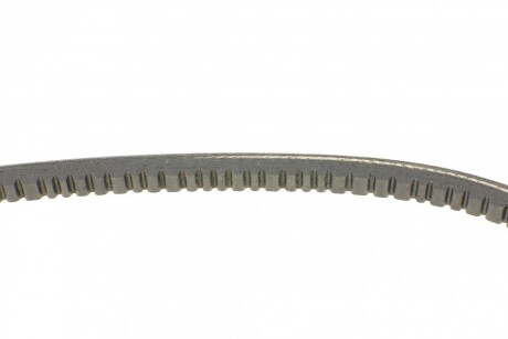 Фото 2 - Ремінь приводний Continental 11,5X730Ld (115X730LD)