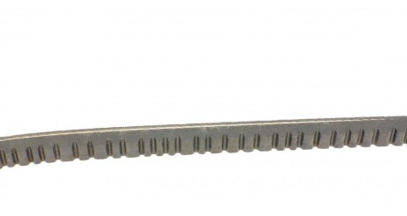 Фото 2 - Ремінь приводний Continental 11,9X965Ld (119X965LD)