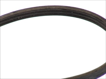 Фото 2 - Ремінь приводний Continental 3PK977ELAST