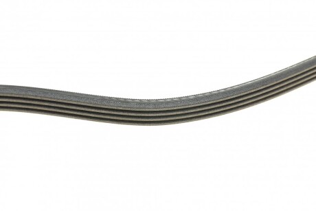 Фото 6 - Ремінь приводний Continental 4PK1310