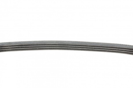 Фото 2 - Ремень приводной Continental 4PK711 ELAST (4PK711ELAST)