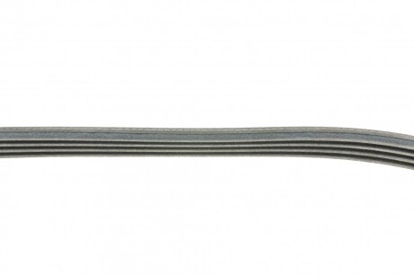 Фото 2 - Ремень приводной Continental 4PK826 ELAST (4PK826ELAST)