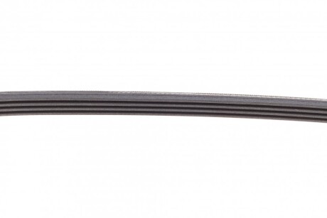 Фото 3 - Ремінь приводний Continental 4PK830