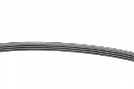 Фото 2 - Ремінь приводний Continental 4PK845