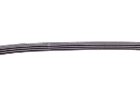 Фото 3 - Ремінь приводний Continental 4PK860