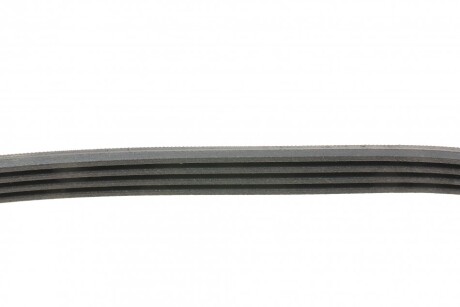 Фото 2 - Ремень приводной Continental 4PK860 ELAST (4PK860ELAST)
