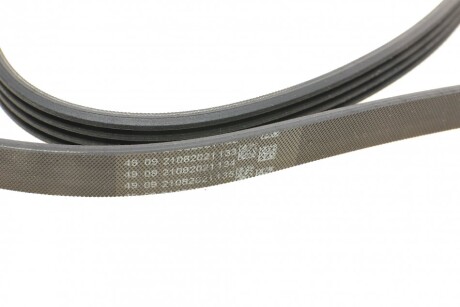 Фото 3 - Ремень приводной Continental 4PK860 ELAST (4PK860ELAST)