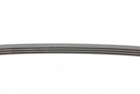 Фото 2 - Ремень приводной Continental 4PK890