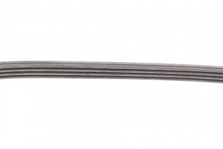 Фото 4 - Ремінь приводний Continental 4PK903 ELAST (4PK903ELAST)