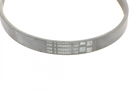 Фото 3 - Ремень приводной Continental 4PK906 ELAST (4PK906ELAST)