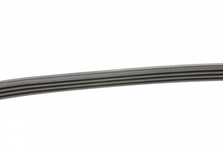 Фото 2 - Ремінь приводний Continental 4PK970