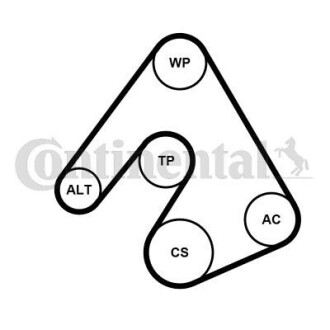 Комплект (ремінь+ролики+помпа) - Continental 5PK1207WP1