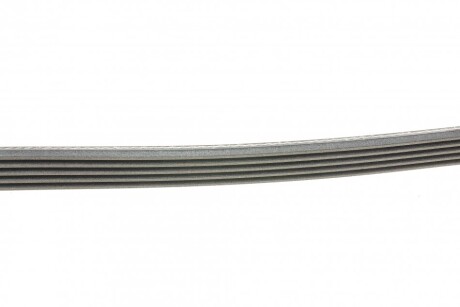 Фото 2 - Ремінь приводний Continental 5PK1212