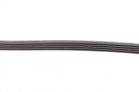 Фото 4 - Ремінь приводний Continental 5PK1240