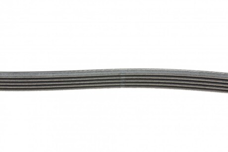 Фото 2 - Ремінь приводний Continental 5PK1250