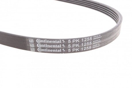 Фото 2 - Ремінь приводний Continental 5PK1255