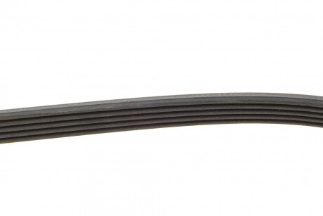 Фото 6 - Ремінь приводний Continental 5PK1260