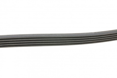 Фото 2 - Ремінь приводний Continental 5PK1290