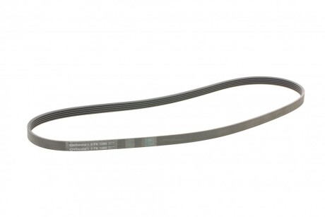 Фото 5 - Ремінь приводний Continental 5PK1290