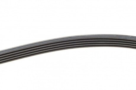 Фото 2 - Ремінь приводний Continental 5PK1330