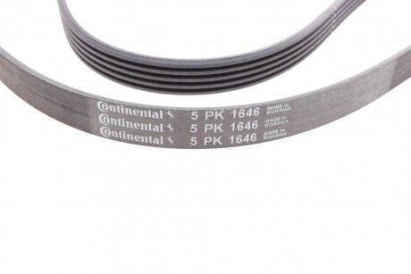 Фото 2 - Ремінь приводний Continental 5PK1646