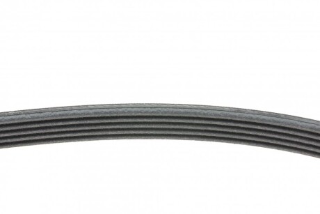 Фото 2 - Ремінь приводний Continental 5PK1680