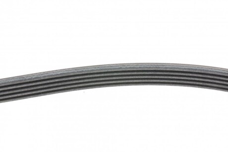 Фото 2 - Ремінь приводний Continental 5PK1715