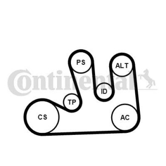 Комплект (ремінь+ролики+помпа) - Continental 5PK1750WP1