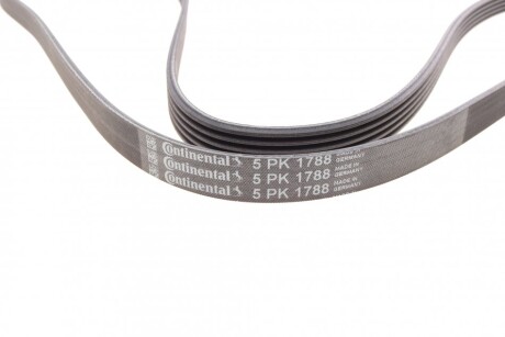 Фото 2 - Ремень приводной Continental 5PK1788