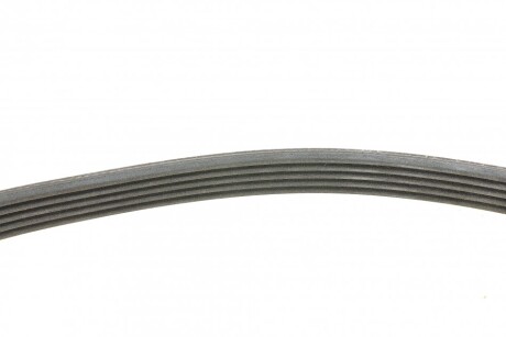 Фото 2 - Ремінь приводний Continental 5PK716 ELAST (5PK716ELAST)