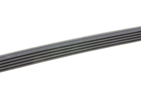 Фото 3 - Ремень приводной Continental 5PK725