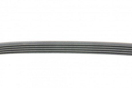 Фото 2 - Ремінь приводний Continental 5PK768