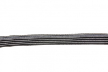 Фото 2 - Ремінь приводний Continental 5PK868 ELAST (5PK868ELAST)