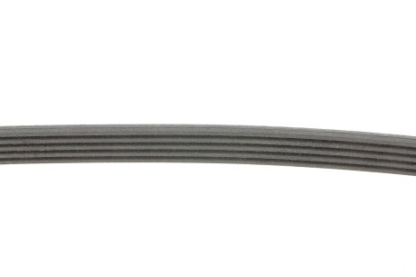 Фото 3 - Ремінь приводний Continental 5PK898ELAST