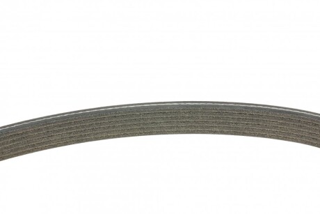 Фото 2 - Ремінь приводний Continental 6DPK1825