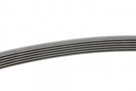 Фото 2 - Ремінь приводний Continental 6PK1010