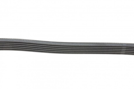 Фото 2 - Ремінь приводний Continental 6PK1015