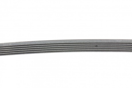 Фото 2 - Ремень приводной Continental 6PK1038