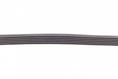 Фото 4 - Ремінь приводний Continental 6PK1054