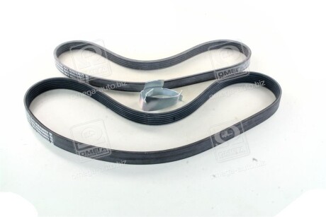 Фото 3 - Ремінь приводний Continental 6PK1059T2