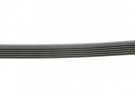 Фото 2 - Ремень приводной Continental 6PK1060