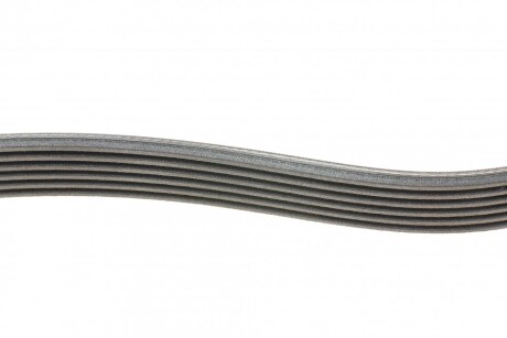 Фото 2 - Ремінь приводний Continental 6PK1090