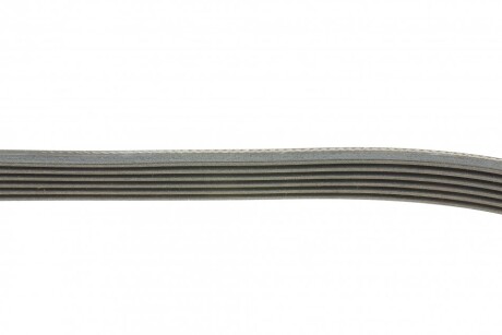 Фото 2 - Ремінь приводний Continental 6PK1095