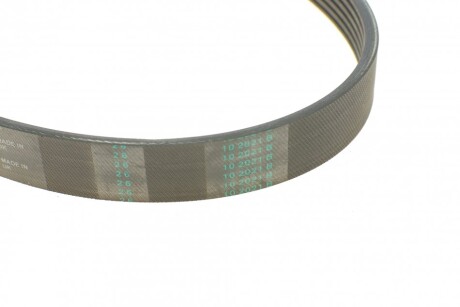 Фото 3 - Ремінь приводний Continental 6PK1095