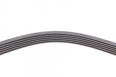 Фото 3 - Ремінь приводний Continental 6PK1352