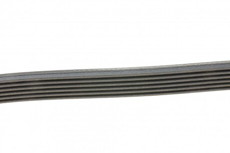 Фото 2 - Ремень приводной Continental 6PK1448