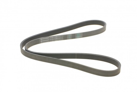 Фото 5 - Ремень приводной Continental 6PK1448